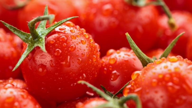 Eating Tomatoes Could Help Improve Male Fertility