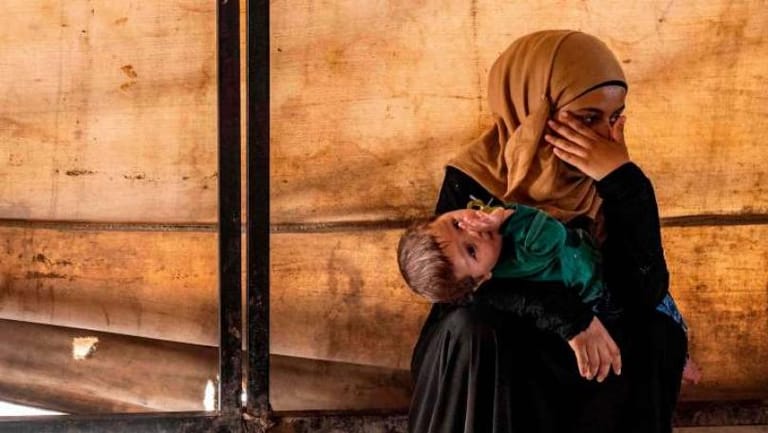 Nearly 800 ‘ISIS-affiliated women and children escape from camp’