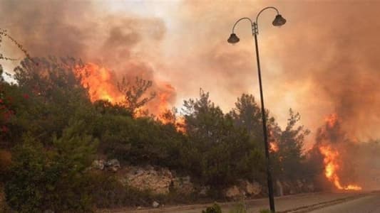 خبير بيئي: لا يمكن إغفال نظريّة افتعال الحرائق