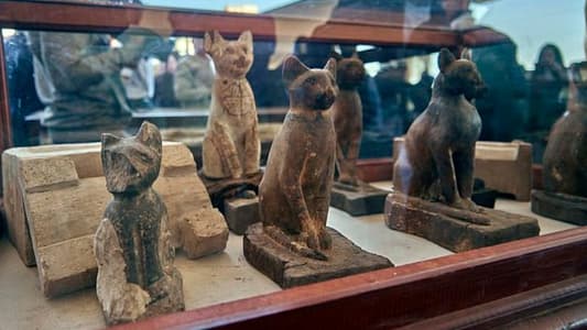 Egypt's Ministry of Antiquities Reveals Newly Discovered Animal Mummies