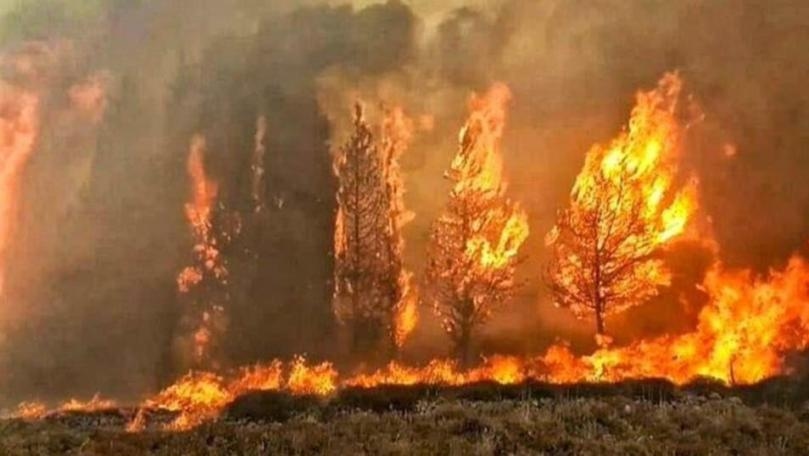 نظام معلوماتي للوقاية من الحرائق وحماية الغابات