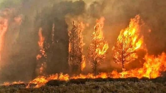 نظام معلوماتي للوقاية من الحرائق وحماية الغابات