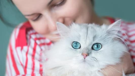 Women Better than Men at Reading a Cat's Facial Expressions