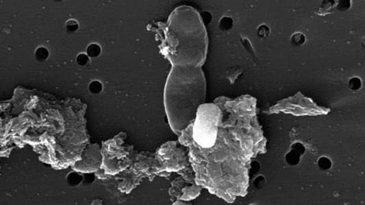 Water from South African Gold Mine Could Contain Life That’s Two Billion Years Old