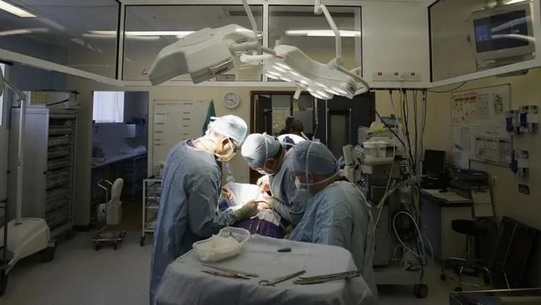 First Human Head Transplant 'Could Be Achieved by 2030'