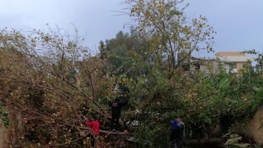 Heavy storm in Sidon causes damage to crops, properties