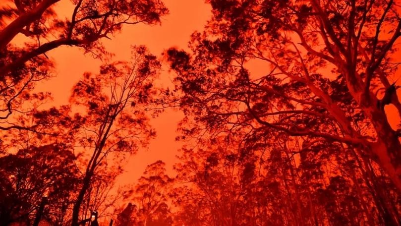 Watch: 'Terrifying' Moment Bushfire Envelops Australian Firefighters in Truck