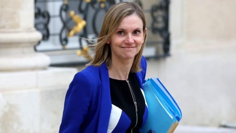 French government minister 'very surprised' by Ghosn's move to Lebanon