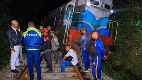 Watch: Train Crashes Into Elephants