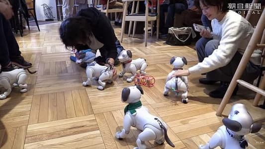 Cafe in Japan Holds Play Dates for Robotic Dogs and Their Owners