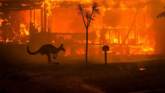 Australia urges quarter of a million to flee as winds fan huge bushfires