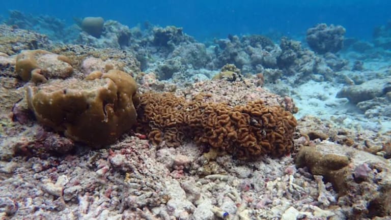 Scientists Compare Rate of Ocean Warming to ‘Dropping Five Hiroshima Bombs Every Second’