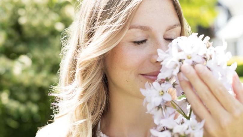 Main Highlight Image