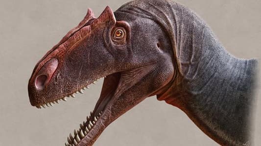 Fearsome Dinosaur the Size of a Bus Recognized as a New Species