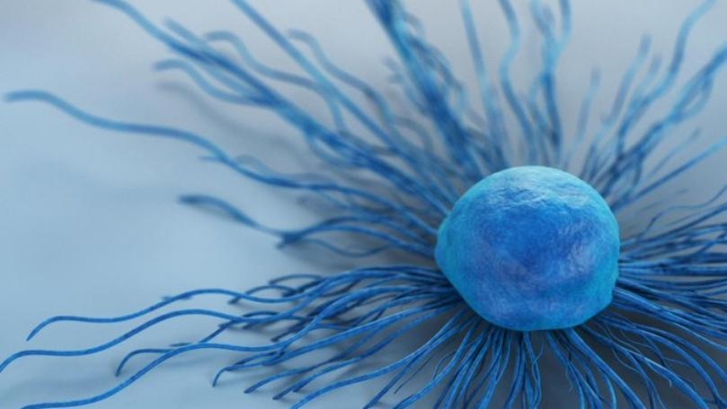 Cervical Cancer Could Be Prevented with a Single Injection, Suggests New Study