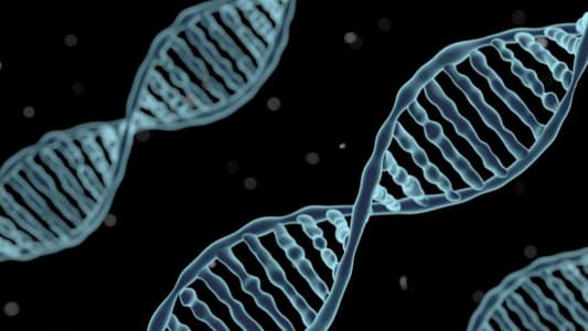 Scientists Detect 'Ghost' DNA from Mysterious Human Species