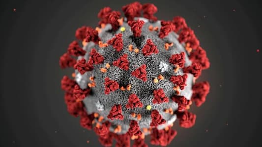 Scientist Dismisses Claim Coronavirus Was Made in a Lab