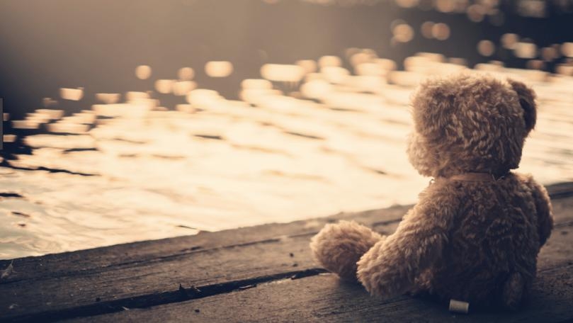 Main Highlight Image