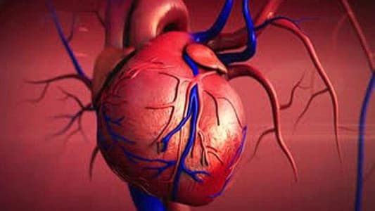 علماء يكتشفون إمكانية استعادة خلايا عضلة القلب التالفة 