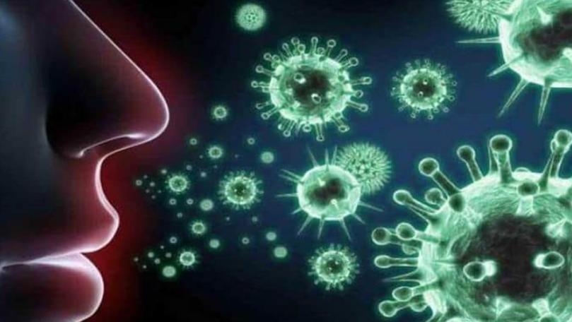 Main Highlight Image