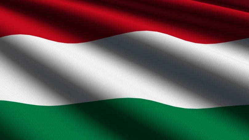 Hungary PM imposes lockdown, sees coronavirus peak by July