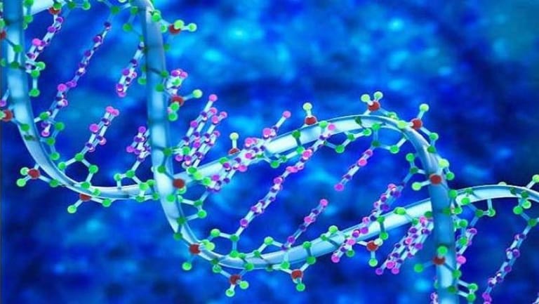 للمرة الأولى... علماء في جامعة ستانفورد الأميركية تمكنوا من تجديد الخلايا البشرية