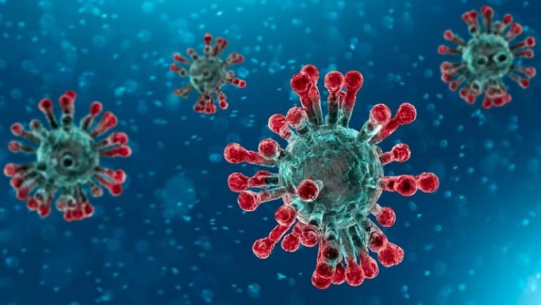 AFP: More than 800,000 official coronavirus cases worldwide