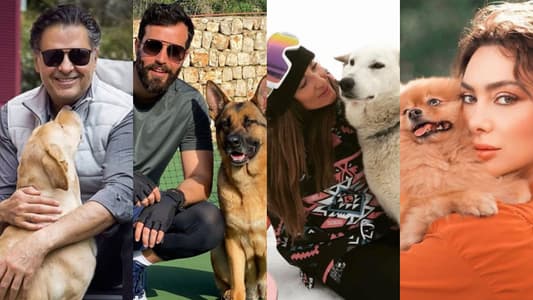 نجوم لبنانيون يدعمون حملة حماية الحيوانات الأليفة في زمن كورونا 
