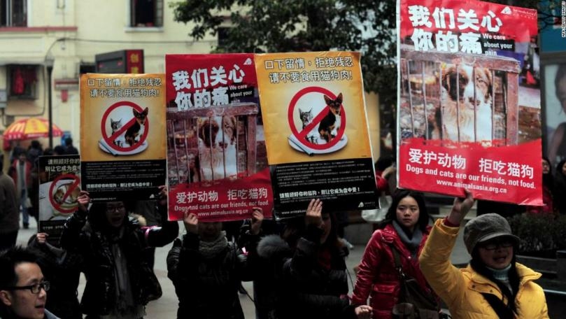 Main Highlight Image