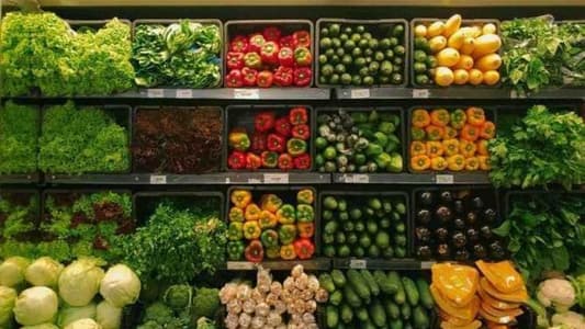 شومان للمستهلك: لشراء الخضار والفاكهة من المزارع 