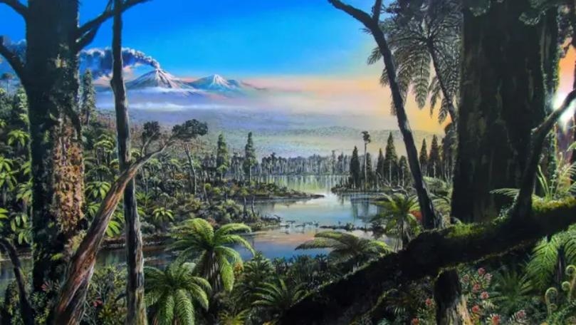 Fossilized Remains of 90-Million-Year-Old Rainforest Discovered Under Antarctic Ice