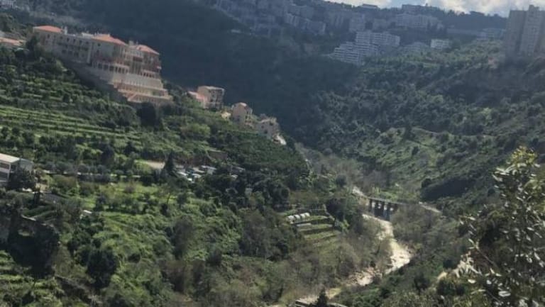 الطبيعة و"كورونا": عودوا الى النهر