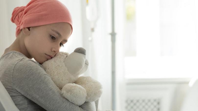 Main Highlight Image