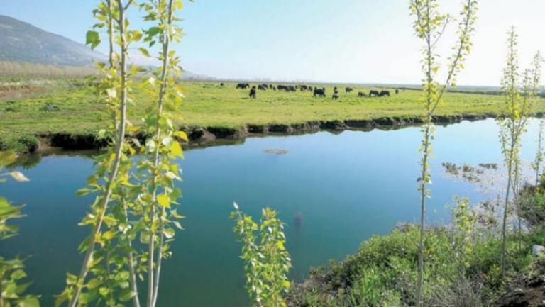 "كورونا" يعيد اللبنانيين إلى الأرياف ويخفف التلوّث