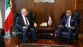 Defense Minister meets Egyptian Ambassador