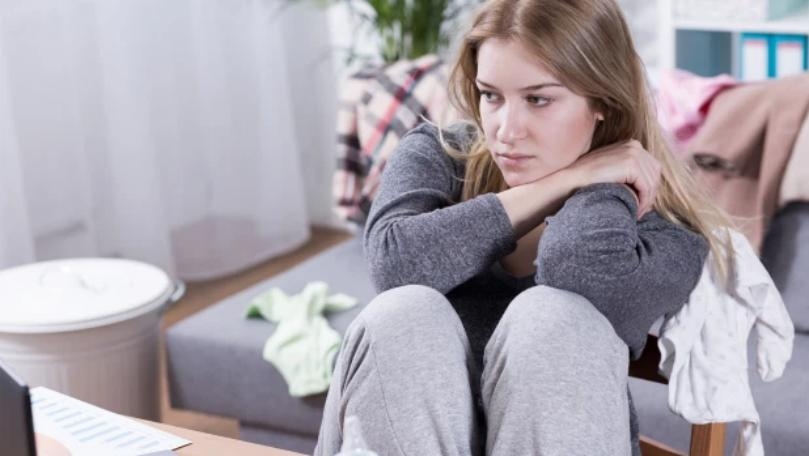 Main Highlight Image