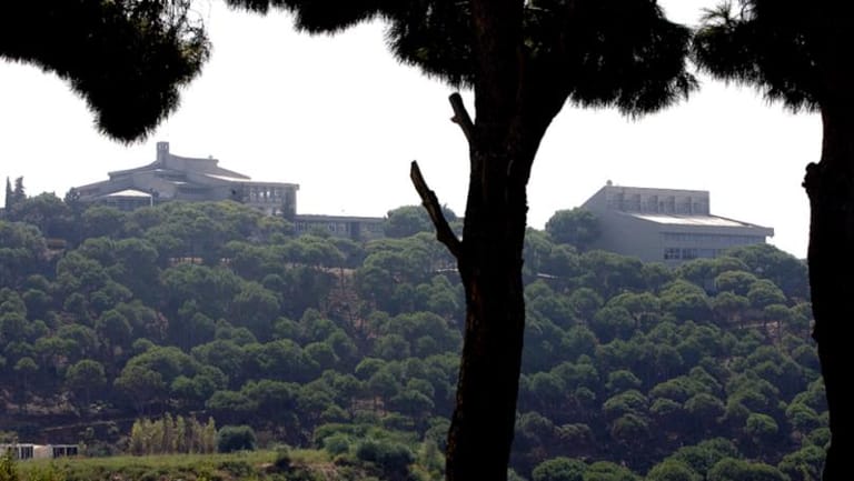 وزارة الزراعة تُبيد النحل والشجر معاً!