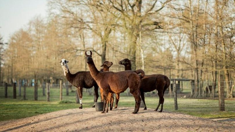 Main Highlight Image