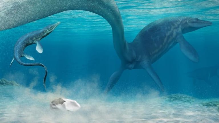 World’s Second-Largest Egg Found in Antarctica May Belong to Giant Sea Lizard