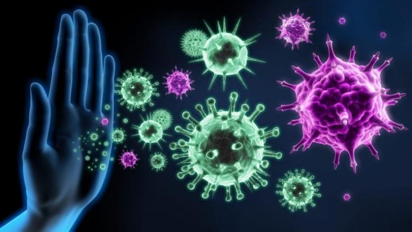 Antibody Levels in Recovered COVID-19 Patients Decline Quickly, Research Finds