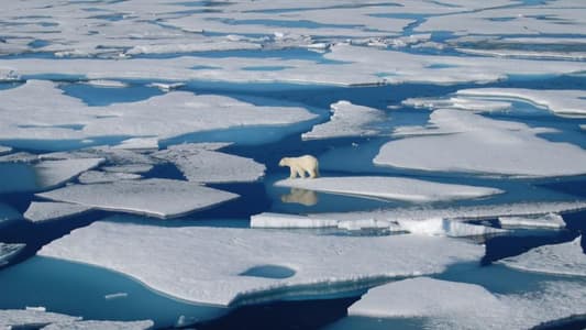 Temperature of 38C Recorded in Arctic Thought to Be the Highest in History