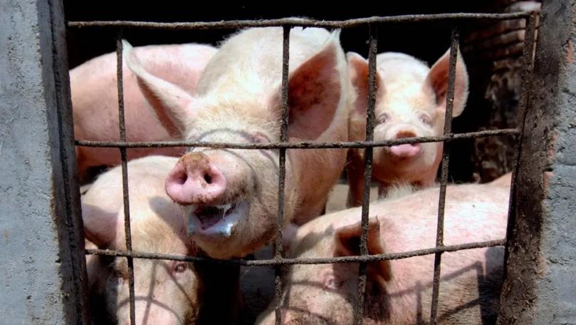 Main Highlight Image