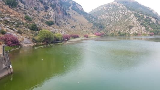 بالصورة: بحيرة عيون السمك تتلوّن بالأخضر... ومناشدة من الأهالي