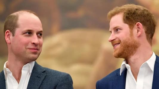 Princes William and Harry Agree to Split Diana Memorial Fund 