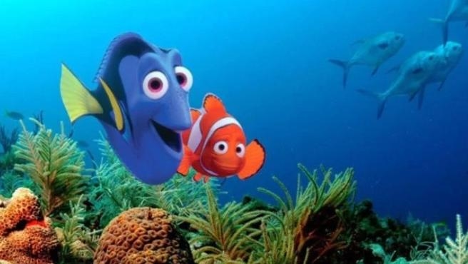 اكتشاف علمي يصدم عشاق فيلم "البحث عن نيمو"