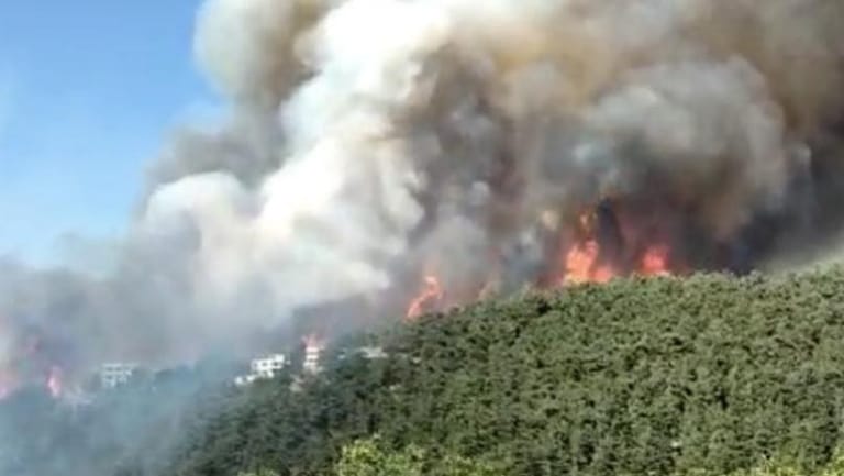 Lebanese Red Cross: 5 of our teams are responding to the Qobayat fire and working to provide first aid, as well as to evacuate civilians from the area