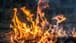 "الوكالة الوطنيّة": اشتعال النار في الأحراج بين رامية وعيتا الشعب بسبب الغارات المعادية