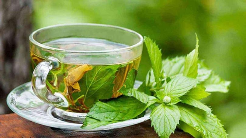 الشاي الأخضر لمواجهة الفيروسات التاجية!