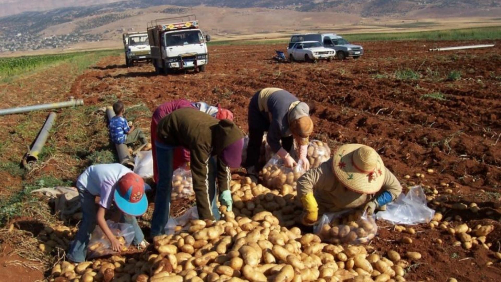 Main Highlight Image