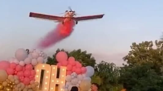 Photos: Pilot Dies after Plane Crashes During Gender Reveal Party in Mexico